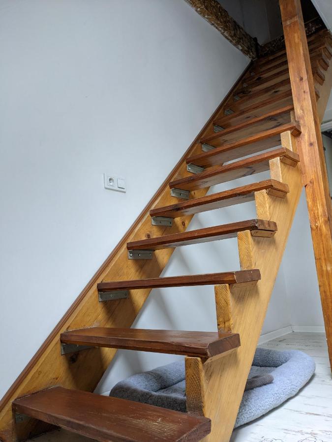 Apartament Lux-Centrum Hlivice Exteriér fotografie